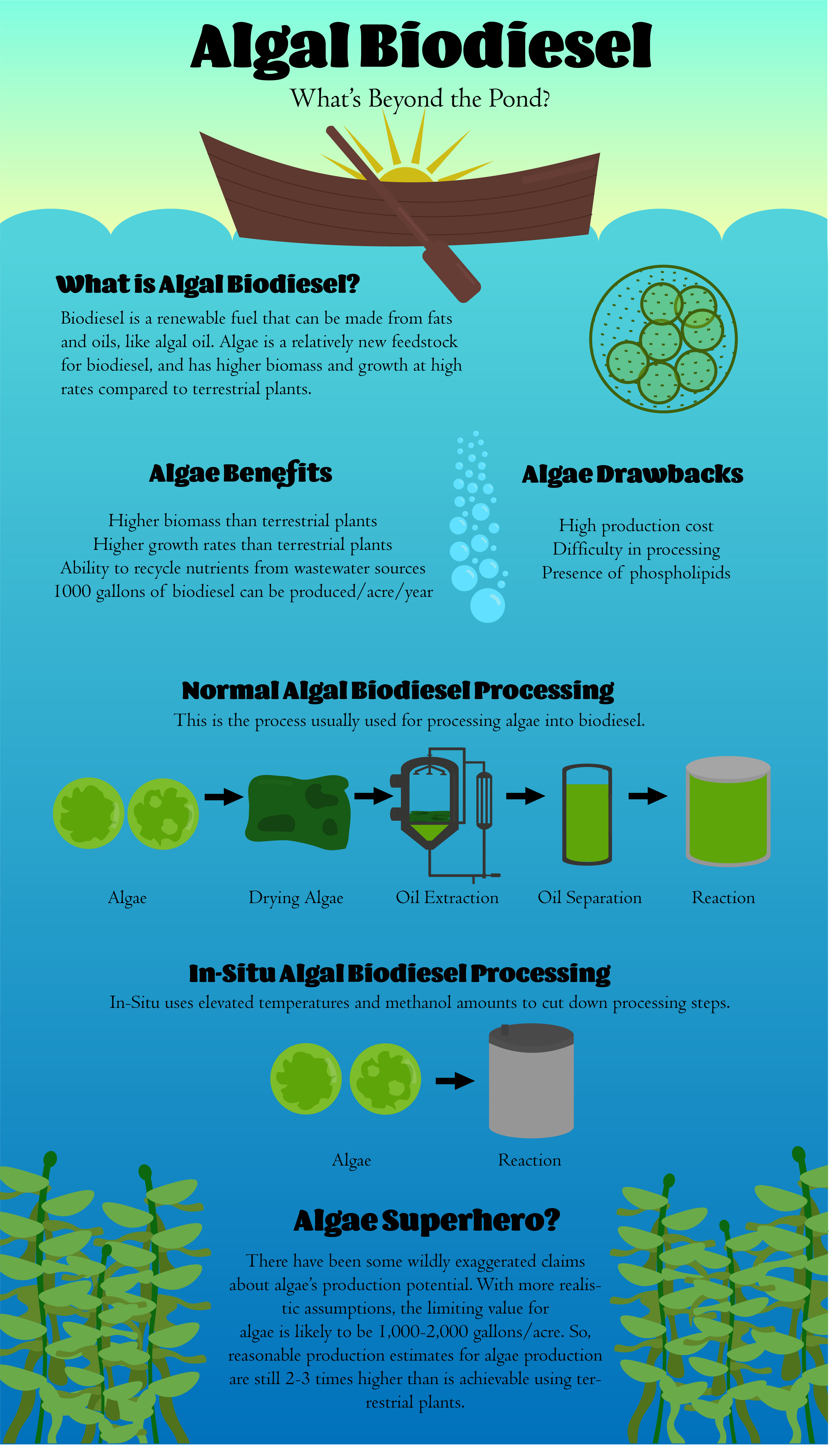 Algal Biodiesel: What's Beyond the Pond